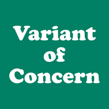 Load image into Gallery viewer, Variant of Concern - Infant Fine Jersey Bodysuit